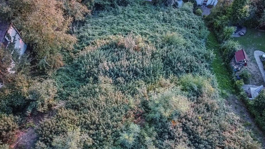 Terreno edificabile in posizione tranquilla alla periferia di Tettnang – Grundstück 1