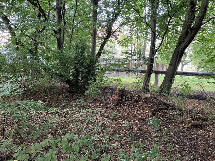 terreno non edificato a Freiberg - senza commissioni – Nordgrenze - Richtung NordWest