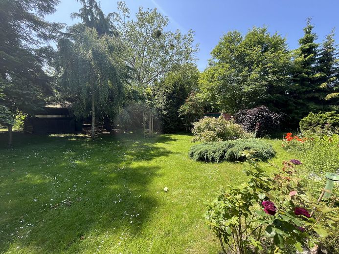 Garten mit erstem Gartenhaus