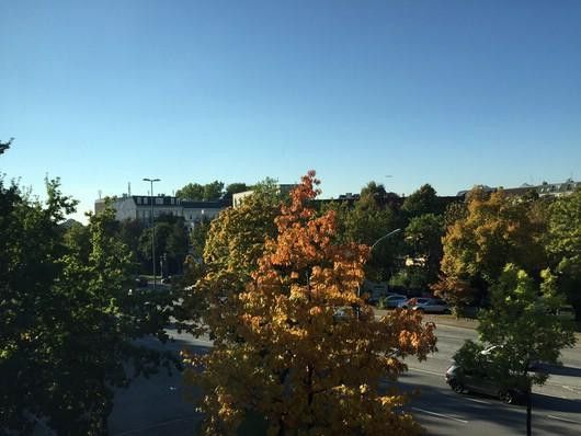 14 - blick_auf_die_straße_I