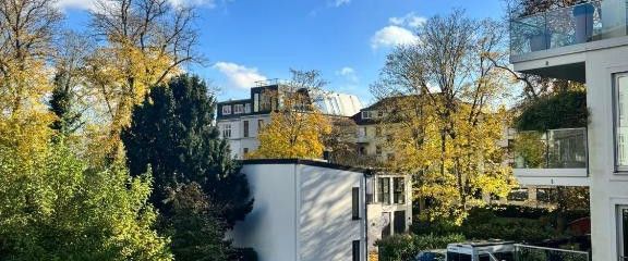 Blick in Garten