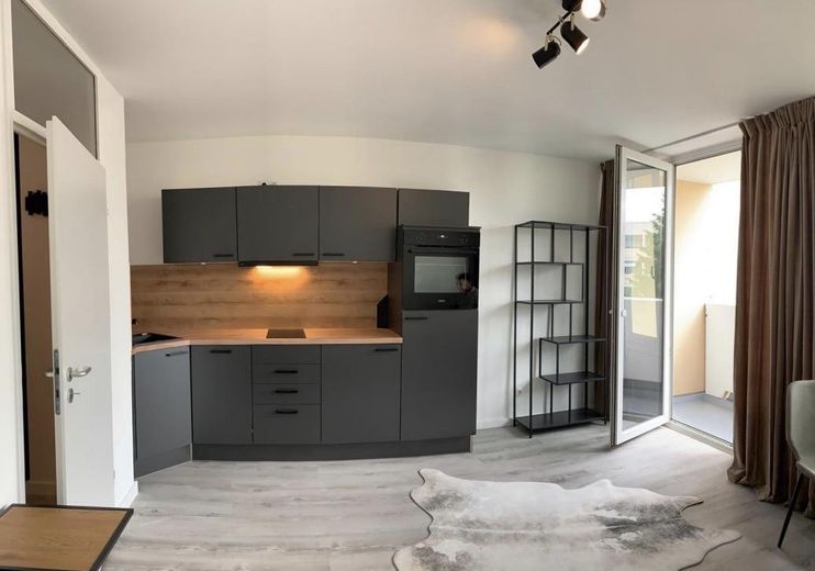 Wohnzimmer / Kochbereich