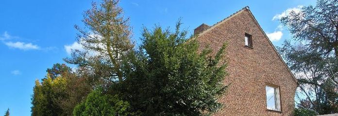 Seitenansicht m. Stellplatz