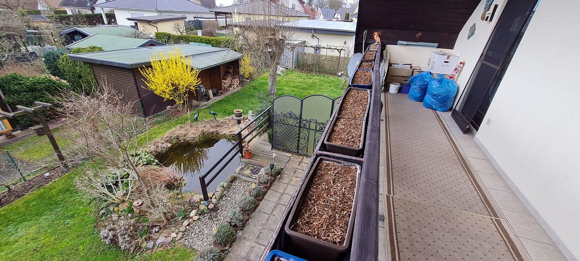 Blick vom Balkon DG