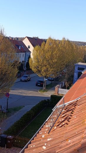Blick zu den Weinbergen
