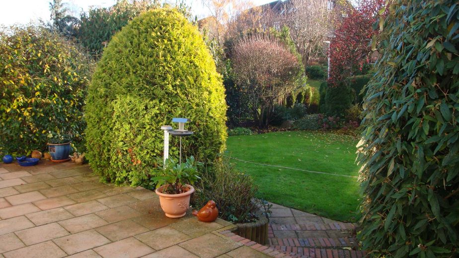 Wohnzimmerblick Terrasse