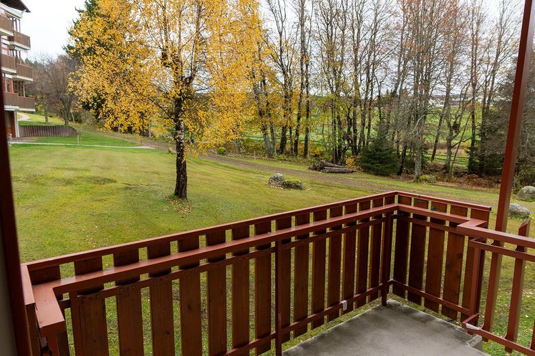 2-Zimmer-Wohnung in Schluchsee, kernsaniert, mit Hallenbad – Ausblick