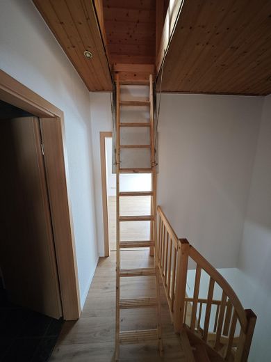 Ausziehtreppe