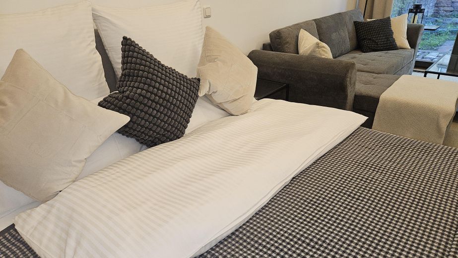 Wohnjuwel in der Altstadt – modernisiertes, loftartiges Apartment (43m²)vollmöbliert +PKW-Stellplatz – Фотографія 7