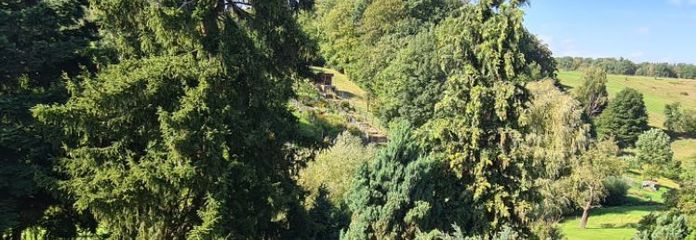 Einfamilienhaus in idyllischer Dorflage nahe Hermsdorf/Stadtroda