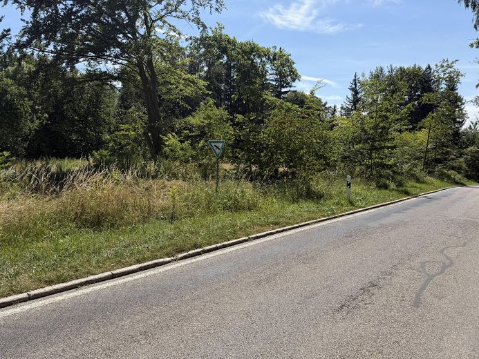 1,48 ha Attraktives Grundstückspaket aus Wiese & Wald in Reichling – Gut erreichbare Lage am Lechtal – Foto 3