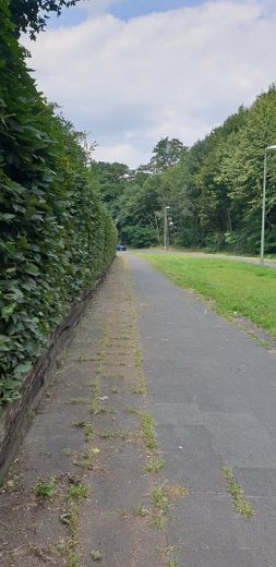 Blick in die ruhige Straße