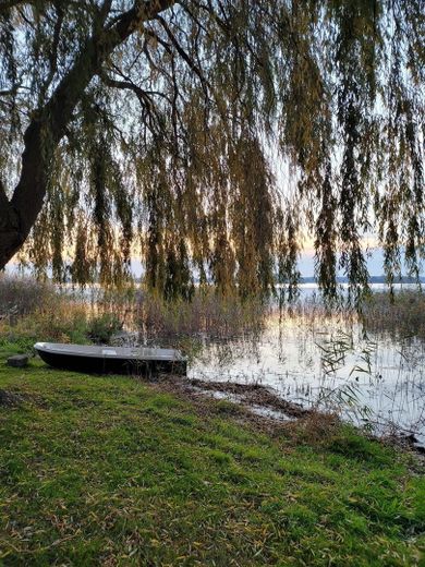 Am See