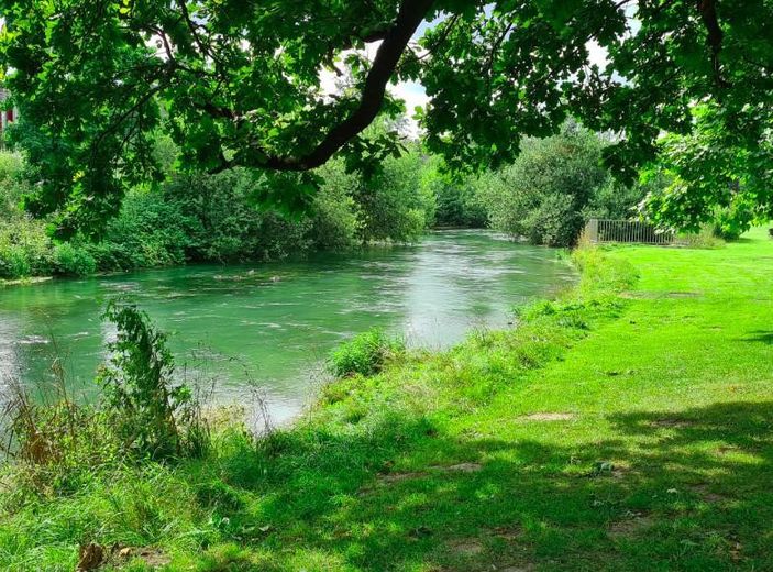 Waldrand Bungalow zu den Fischteichen incl. Strom – Paderauen