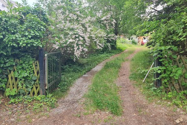 Baugrundstück zwischen Wald and Seen mit guter Anbindung nach Berlin