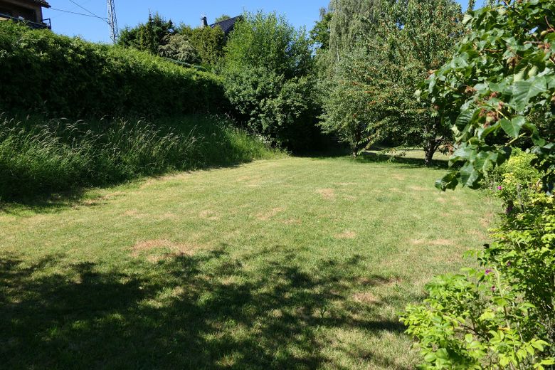 Rasenfläche Obere Ebene