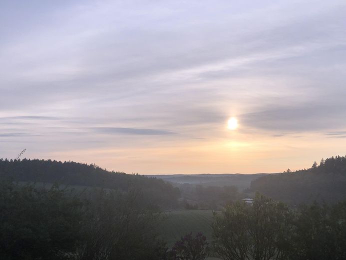 Möblierte Wohnung in grüner Idylle – Foto 13