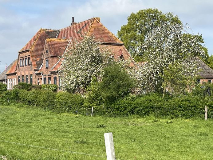 Frühling, Koppel und Schule