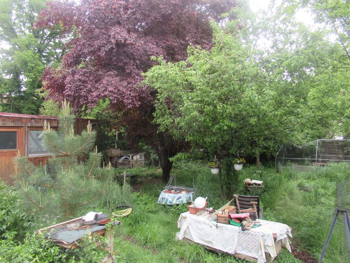 Arbeitstisch für Blumenaussaat