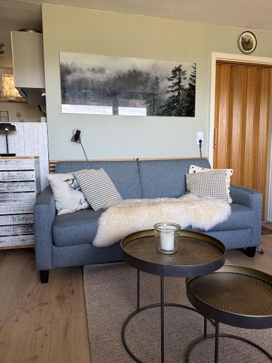Appartment mit traumhafter Aussicht  im Sternedorf Baiersbronn – Schlafcouch