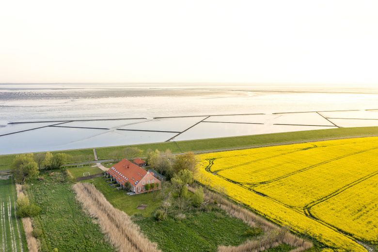 Vermietete Denkmal-FeWo am Nordseedeich – 4,95★, provisionsfrei, ~250 Nächte/Jahr – Foto 28