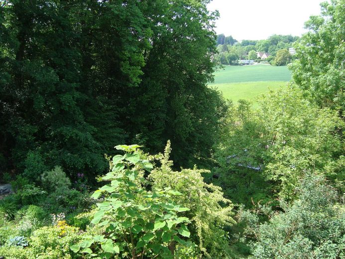 ..das könnte ihr Ausblick sein