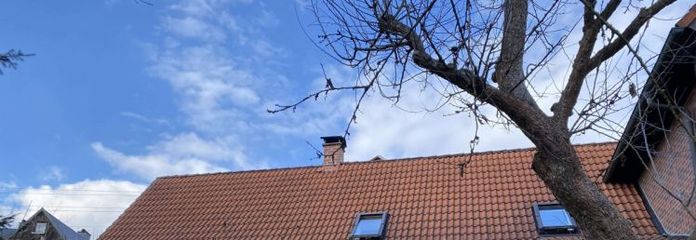 przestronny, dobrze wyposażony dom jednorodzinny (dom w zabudowie bliźniaczej) z ogrodem do wynajęcia