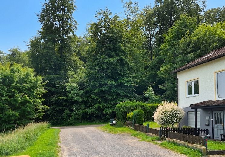 Maison individuelle solide en lisière de forêt à Hamelspringe – Foto 3
