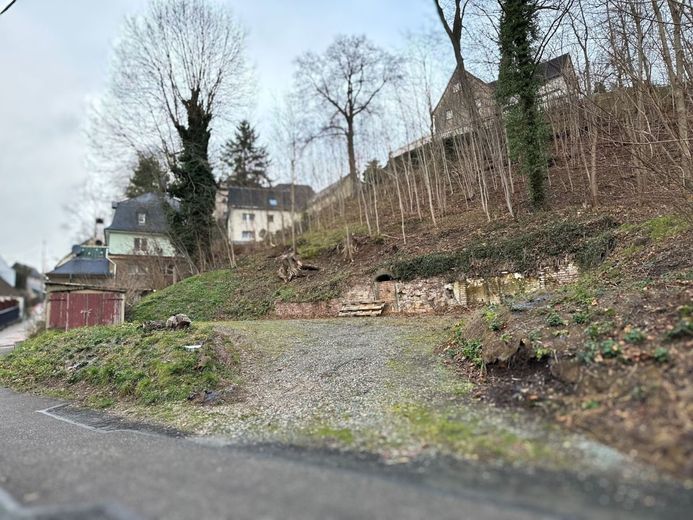 provisionsfreies innerstädtisches Baugrundstück mit 2364m² für Einfamilien- oder Doppelhaus und Waldanteil – 250113_GS_371_3_und_371_4_MG16_LS_Bilder_001