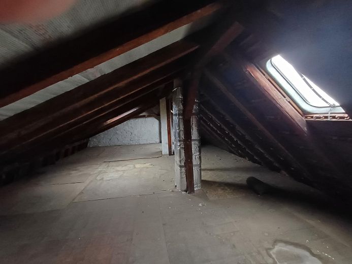 Vielseitiges Wohnhaus: Großfamilie oder 3×3-Zimmer-Wohnungen + Gewerbe & Garten – Dachboden