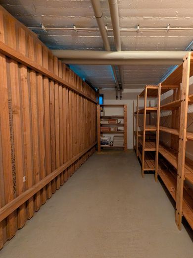 Helle 3 Zimmer am Waldstreifen — Balkon, TG-Stellplatz, bezugsfrei & provisionsfrei – Kellerraum mit Holzregalen