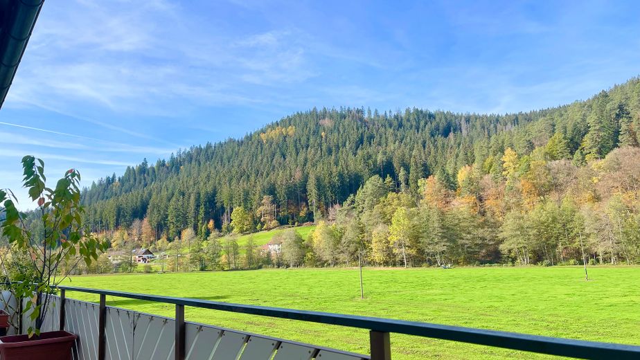 Ausblick vom Nord-West Balkon