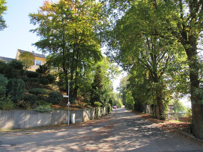 Blick von der Strasse