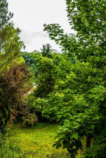 Blick vom Balkon Süd