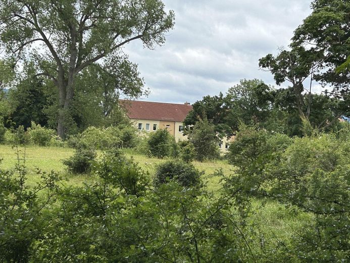 Blick aus dem Grünen von Osten