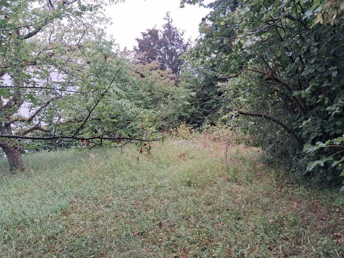 Terrain à bâtir de 622 m² sans commission – emplacement privilégié – Photo 2