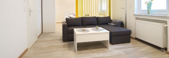 Helle, gut renovierte und möblierte Wohnung mit Gartenplatz, schickem, großem Duschbad und Internetzugang, für den beruflichen Aufenthalt – c59a7d12f667a04e421c7d18ee499fb5af9ff7ad.jpg