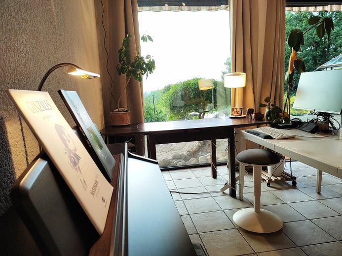 Terassenzimmer mit Piano