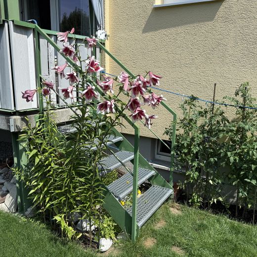 Hochparterre mit ca. 85 m² plus Gartenanteil – barrierearm wohnen zwischen Isar und Alpen – Garten
