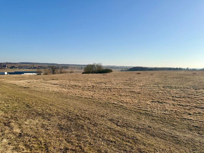 HORN IMMOBILIEN++ 15 km bis Neubrandenburg, schöne Doppelhaushälfte mit großen Grundstück &amp; 2 Garagen – Ausblick Garten