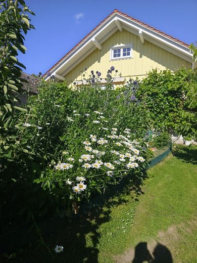 Einfamilienhaus Doppelgarage Schwedenhaus großes Grundstück – Foto 9