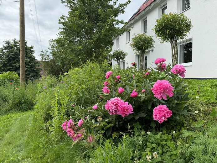 Eingangsbereich Blumen