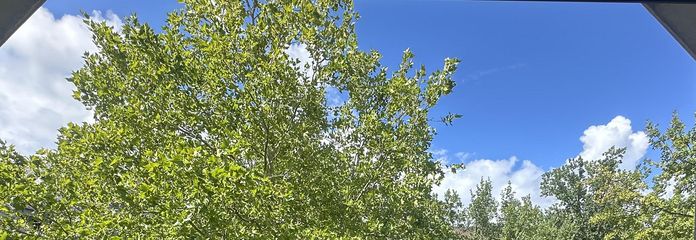 Französischer Balkon