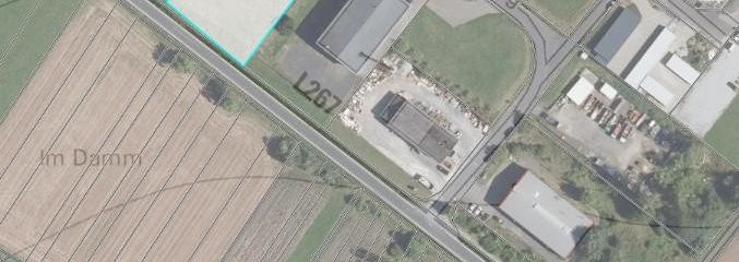 Liegenschaft Niederahr