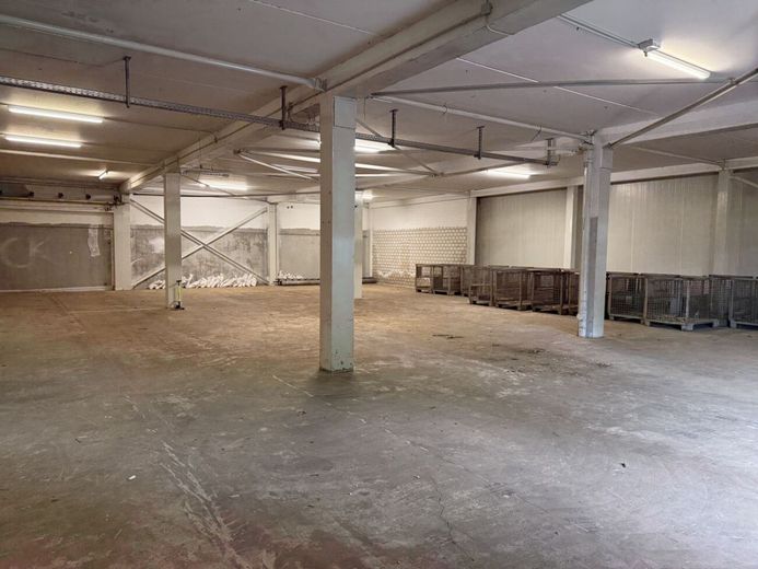 Manche Immobilien stehen einfach nur da, diese arbeitet für Sie – Lagerhalle EG