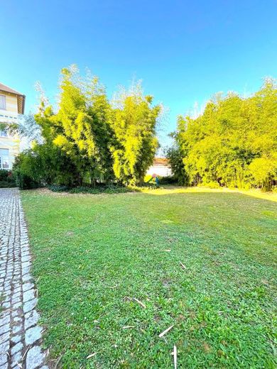 Sanierte Loftwohnung: Mit Terrasse, Stellplatz und Gartenzugang – Garten