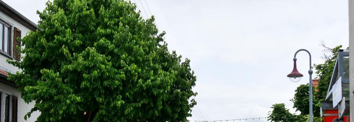 Blick von der Rosenstraße