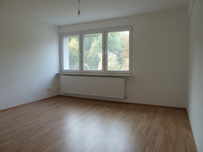 Großzügige Einraumwohnung mit Küche, Diele und Bad im Topzustand – Wohnzimmer
