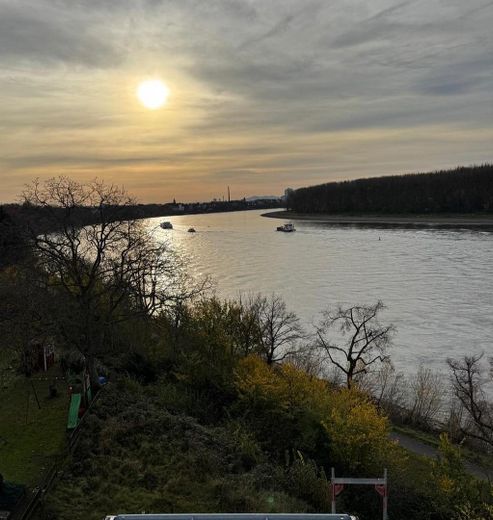 Rheinblick DG rheinaufwärts