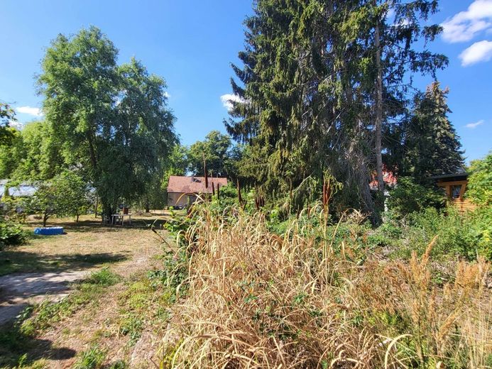 Großes Baugrundstück für Träume mit Potential - teilbar, ruhig, vielseitig bebaubar – Großzügige Sichtachsen
